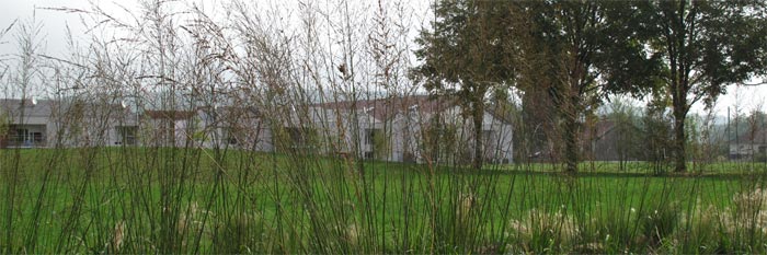 Projet de paysage à léchelle des parcs et jardins : aménagement du parc urbain du quartier Maunoury à Héricourt